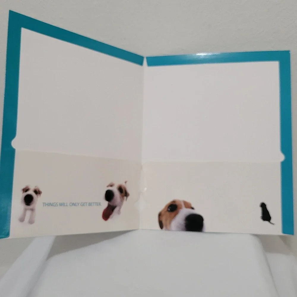The Dog Artist Collection Lot of 3 2-Pocket Folders Lab Jack Russel Shepherd